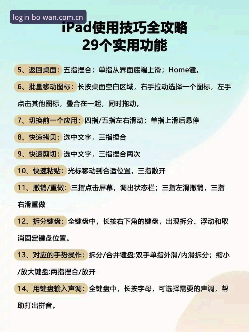 实战派用户张伟分享：博万体育平台使用教程功能详解，从入门到精通的高效操作心得